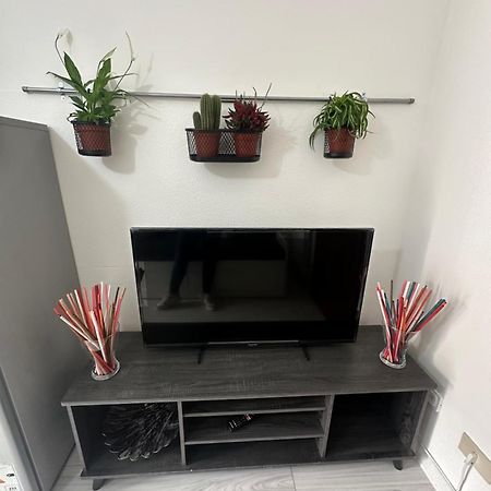 B&B Luna Rosa Pisa Dış mekan fotoğraf